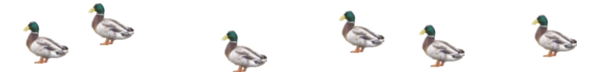 Lomond Web Services logo